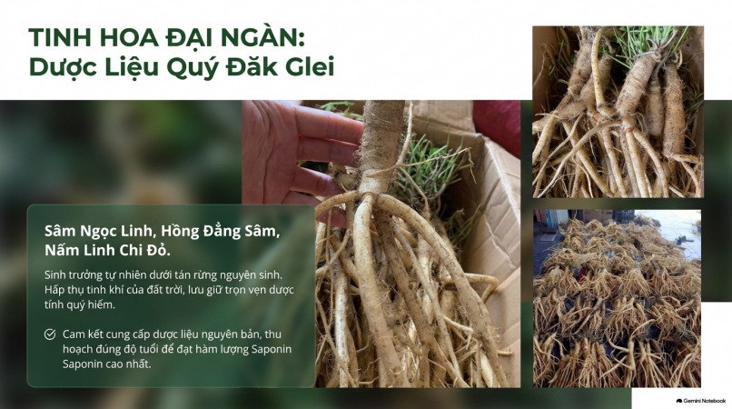 Slider Image 4
