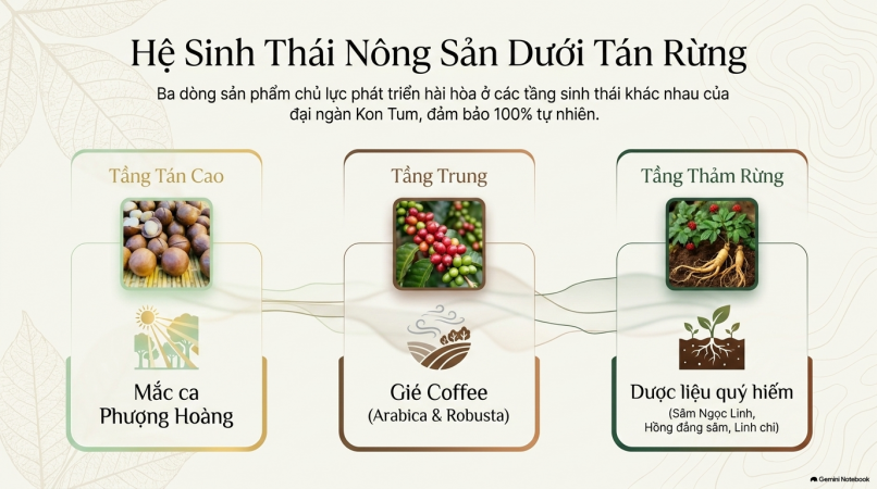 Slider Image 3